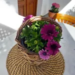Patmos Little